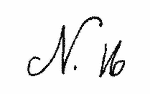 Indiscernible: monogram (Read as: N)