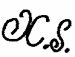 Indiscernible: monogram (Read as: XS)