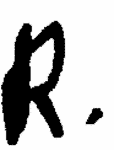 Indiscernible: monogram (Read as: R)
