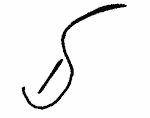 Indiscernible: monogram (Read as: D, S, IS)