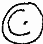 Indiscernible: monogram (Read as: C)