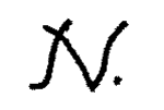 Indiscernible: monogram (Read as: N, NV)